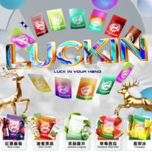 【LUCKIN 幸運煙彈】一代通用｜原裝正品霧化芯｜順滑口感 3顆裝